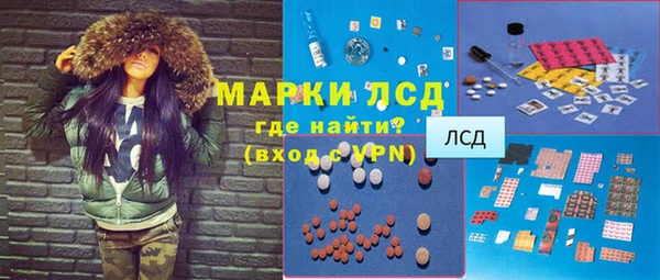 гашик Верея