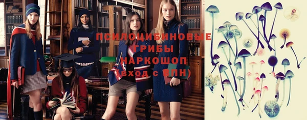 гашик Верея