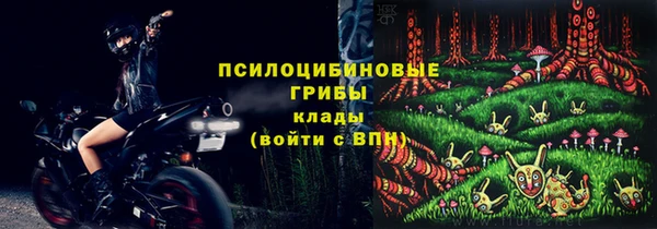 гашик Верея