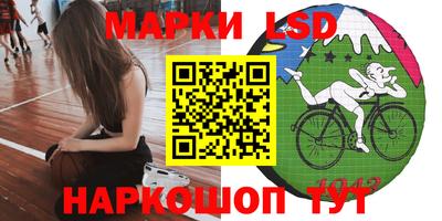 ALPHA PVP Гатчина