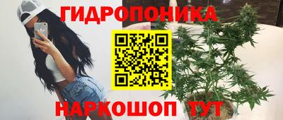 ALPHA PVP Гатчина