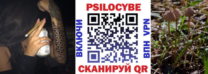 Галлюциногенные грибы мухоморы  Вичуга 
