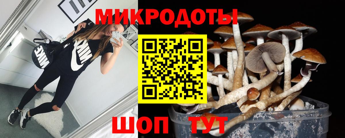Вичуга  Галлюциногенные грибы мухоморы  Вход с VPN 